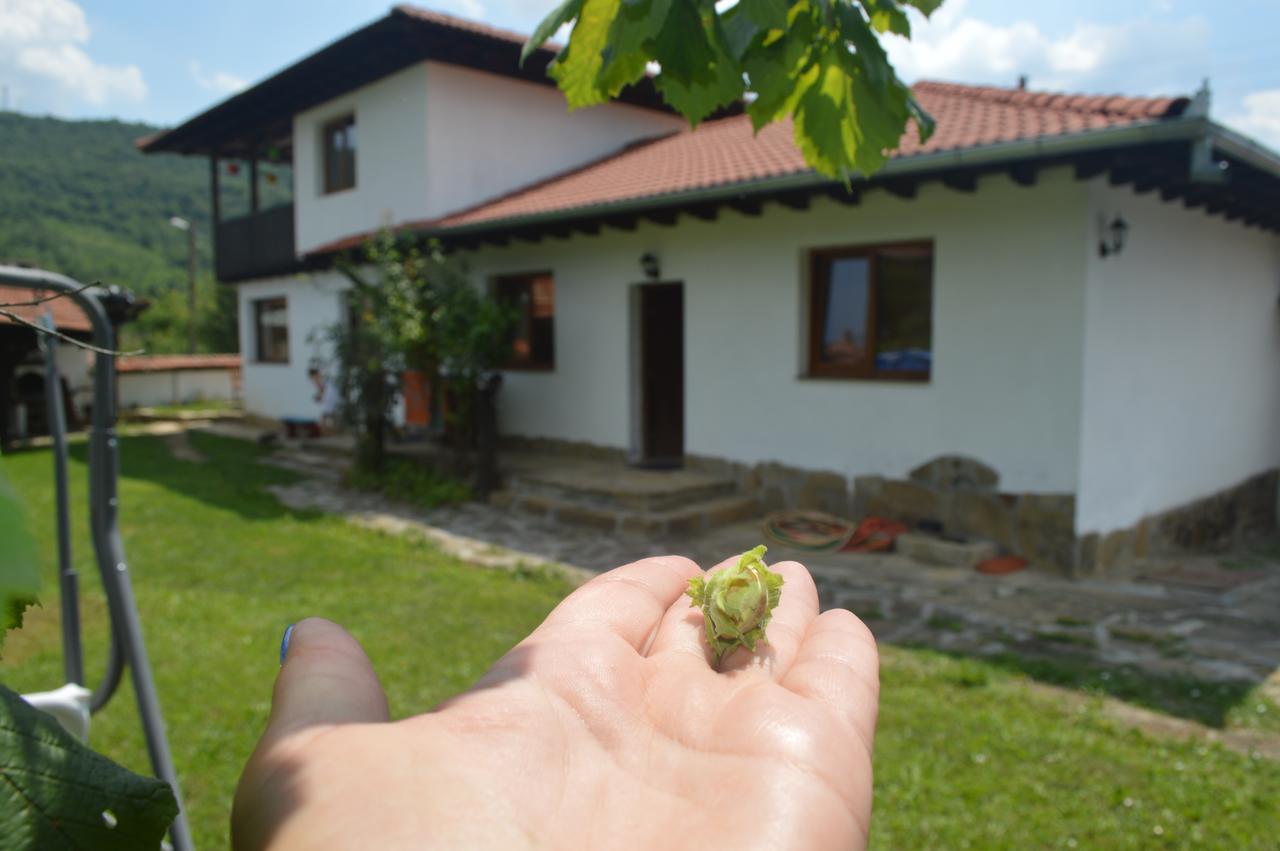 Guest House Yana Tŭrkasheni Esterno foto