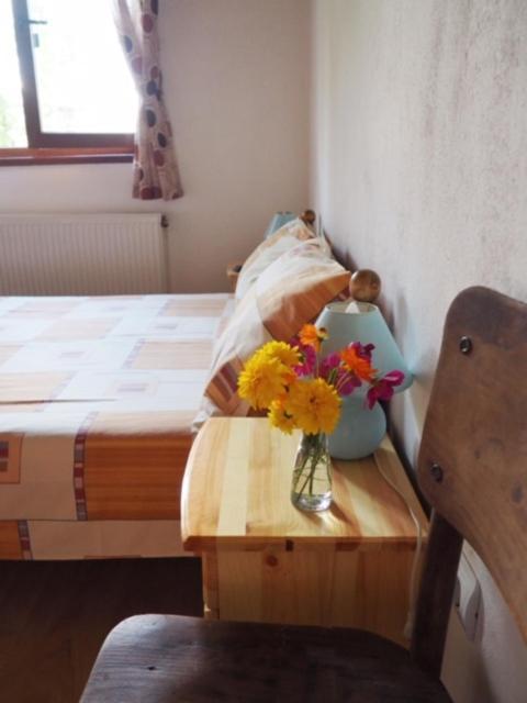Guest House Yana Tŭrkasheni Esterno foto